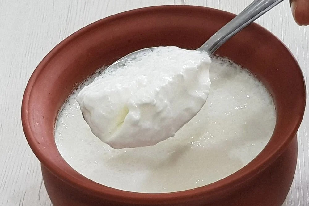 Greek Yogurt-The Perfect Yogurt Maker